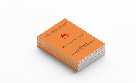 Giấy phép liên vận 01